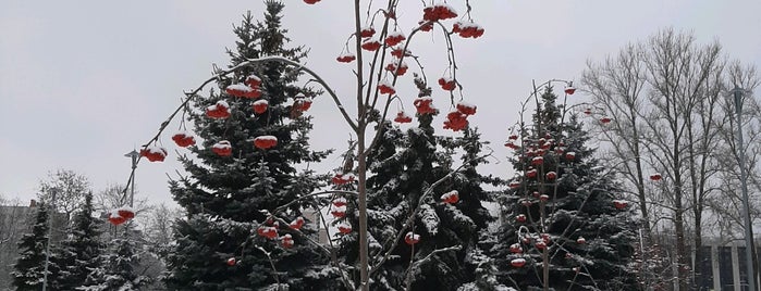 Pulkovo Park is one of Места.