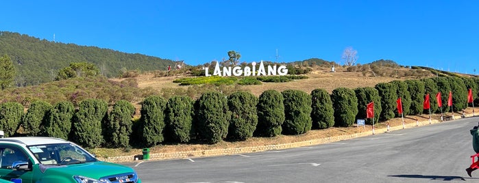 LangBiang Hill is one of Vietnam.