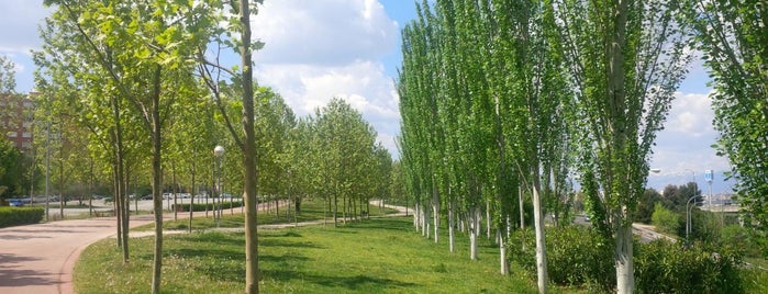 Parque is one of Dieter's favourite spots in Madrid.