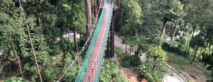 Taman Eko Rimba KL (KL Forest Eco Park) is one of Malaysia/Singapore.