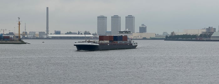 Waalhaven is one of Rotterdam.