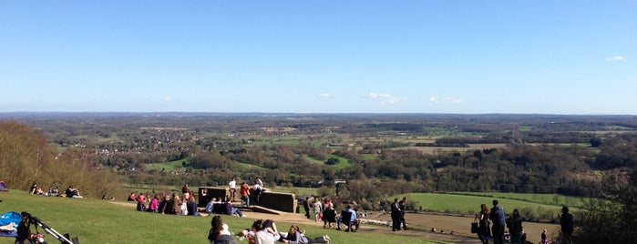Box Hill National Trust is one of Surrey To Do.