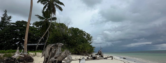 Grand Anse Beach is one of Seychelles.