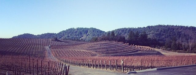 Pride Mountain Vineyards is one of Wine Country.