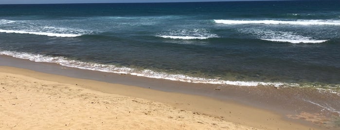 Surfer's Beach is one of Fernanda : понравившиеся места.