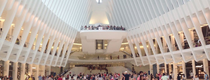 World Trade Center Transportation Hub (The Oculus) is one of Ray : понравившиеся места.