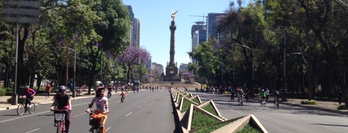 Ciclopista is one of สถานที่ที่ Julio César ถูกใจ.