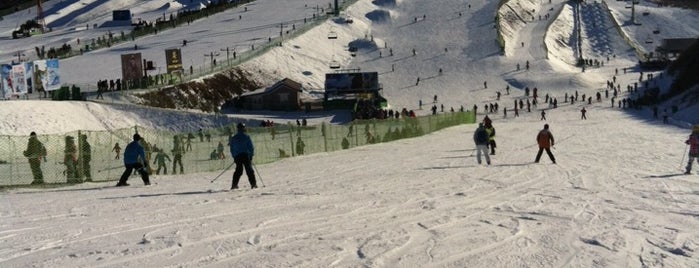 南山滑雪场 Nanshan Ski Village is one of Ski & Snowboard China 滑雪和单板滑雪中国.