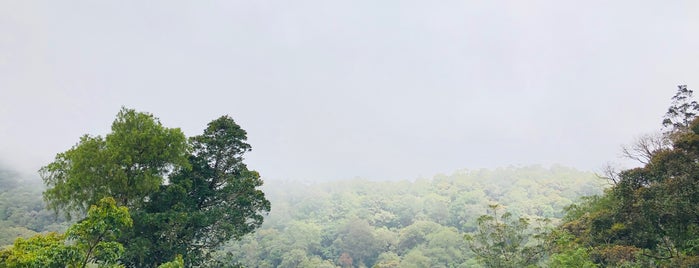 Kinabalu Park is one of KKHCM.