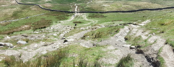 Whernside is one of Martin’s Liked Places.
