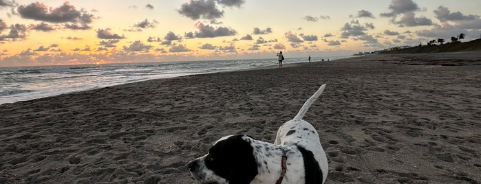 Jupiter Beach is one of Florida.