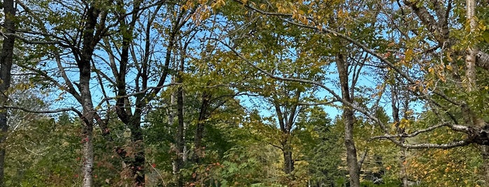 Herring Cove Provincial Park is one of New Brunswick.