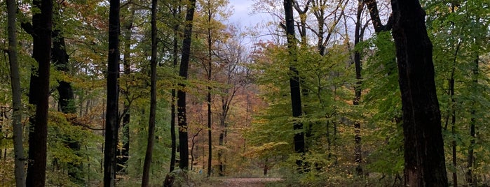 Rockefeller State Park "Rockies" Sleepy Hollow Road Trailhead is one of La Vita E Bella.