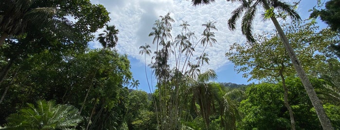 Penang Botanic Gardens 植物園 is one of Penang Malezya.