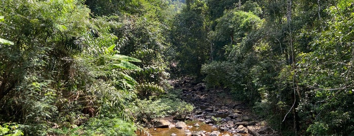 Than Mayom Waterfall is one of ตราด, ช้าง, หมาก, กูด.