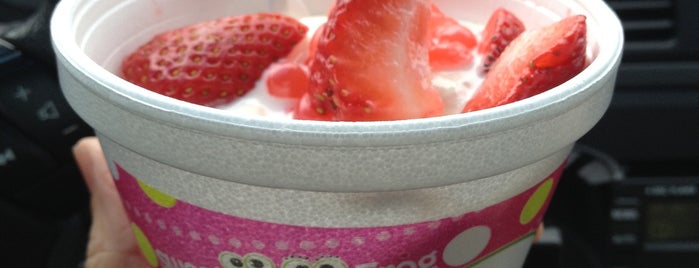 Sweet Frog Premium Frozen Yogurt is one of Restaurant.