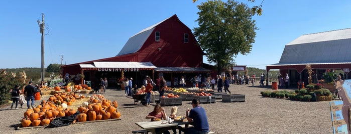 Eckert's Grafton Farm is one of Fun.