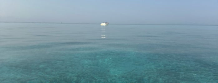 Tiran Island is one of Sharm El Sheikh.
