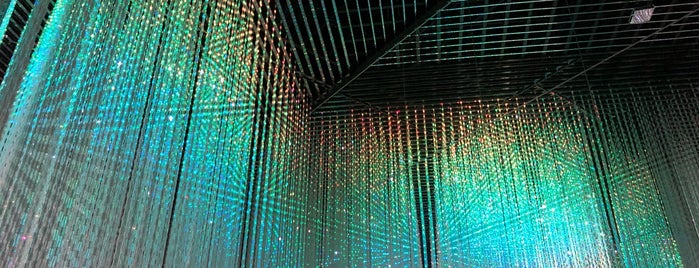 teamLab Borderless is one of Japan Places To Go.