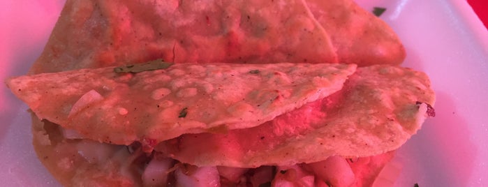 Tacos en León Gto