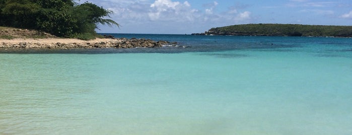 Vieques Island is one of Stevenson's Favorite World Beaches.