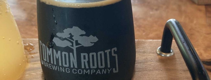 Common Roots Brewing Company is one of Breweries.
