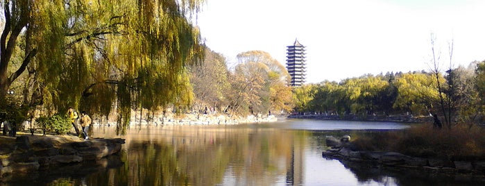 Peking University is one of Beijing List.