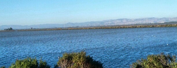 Sonoma-Napa Marshes Wildlife Area is one of Eveさんのお気に入りスポット.