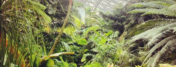 Krohn Conservatory is one of Ohio in Bloom.