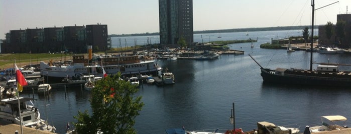 Sasalounge is one of Almere City ‘Badge’ - The world’s youngest city.