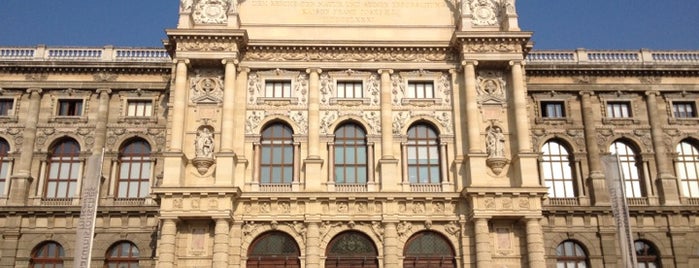 Museo de Historia Natural de Viena is one of Top 10 favorites places in Vienna.