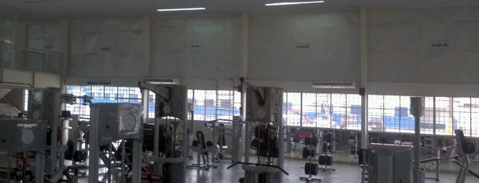 Academia Municipal is one of Academias (Gyms) Atléticas..