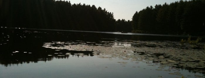 Pog Lake is one of Kyo : понравившиеся места.