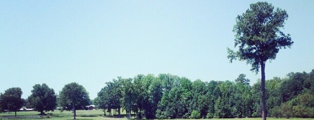 Pine Top Farm is one of Lugares favoritos de Amanda.