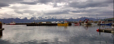 Húsavík is one of Road Trip Iceland.