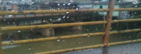 Ponte Engenheiro Lopes Braga is one of Pontes de Manaus.