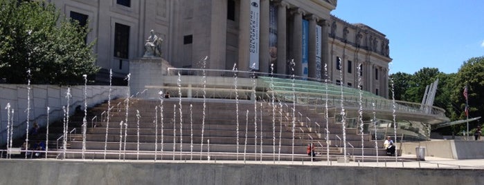 Brooklyn Museum is one of New York.