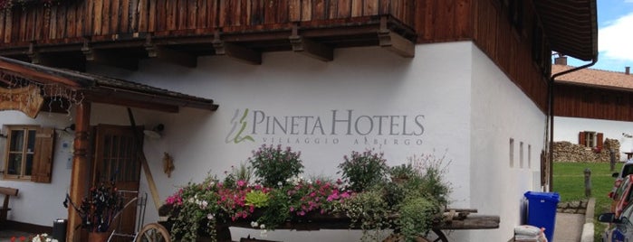 Pineta Naturalmente Hotels is one of Vitanova Trentino Wellness Hotel&Resort.