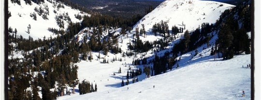 Alpine Meadows Ski Resort is one of Best California Ski Resorts.