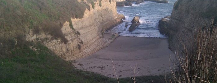 Wilder Ranch State Park is one of The Great Outdoors.