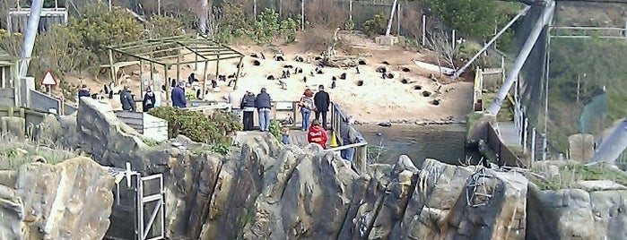 Living Coasts is one of Carlさんのお気に入りスポット.