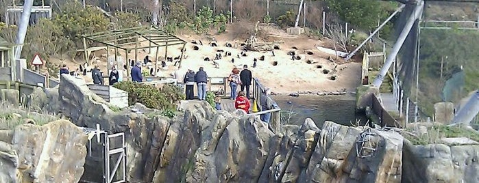 Living Coasts is one of Lieux qui ont plu à Carl.