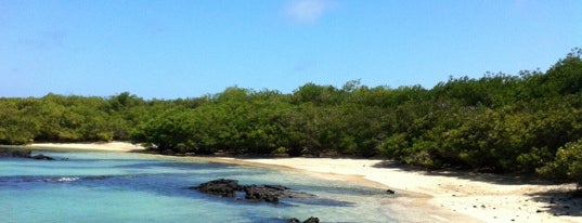 Santa Cruz Island is one of Equateur.