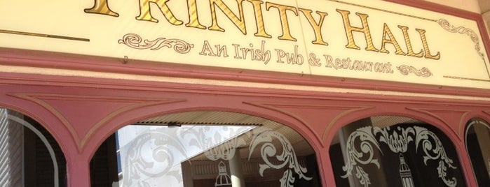 Trinity Hall Irish Pub and Restaurant is one of Nic.さんのお気に入りスポット.