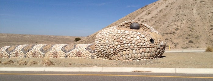 The Giant Rattlesnake is one of Lugares favoritos de Estevan.