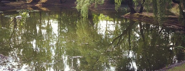 Ogrod Botaniczny is one of Silesian Green Outdoors.