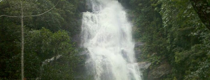 Parque Nacional da Tijuca is one of RIO DE JANEIRO- BRAZIL.