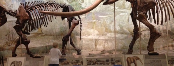Morrill Hall is one of Family Fun Places - Lincoln, NE.