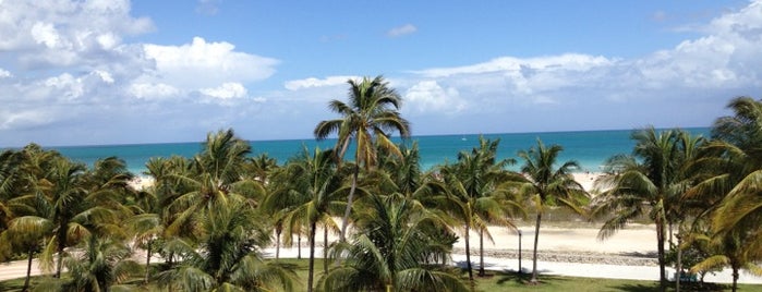 South Beach is one of Montserratさんのお気に入りスポット.