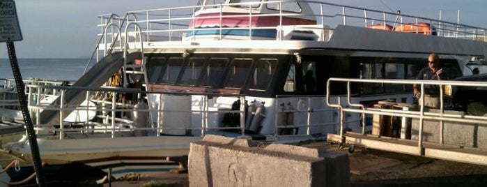 Best Maui Tour Boats